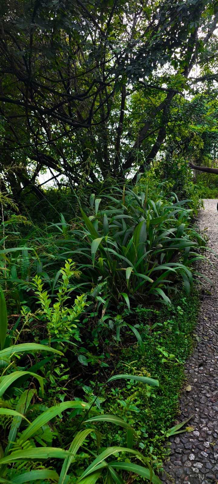 Healing landscapes