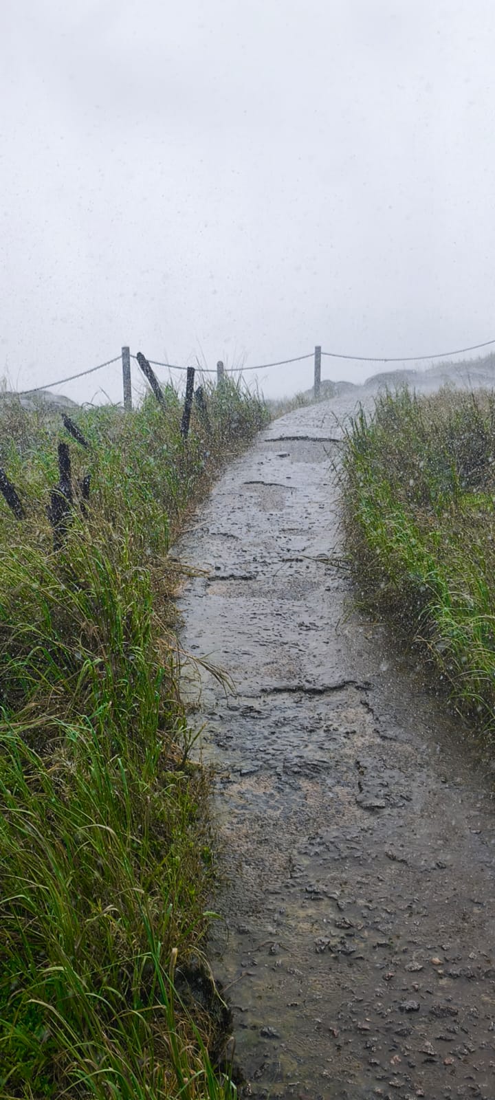 The path ahead